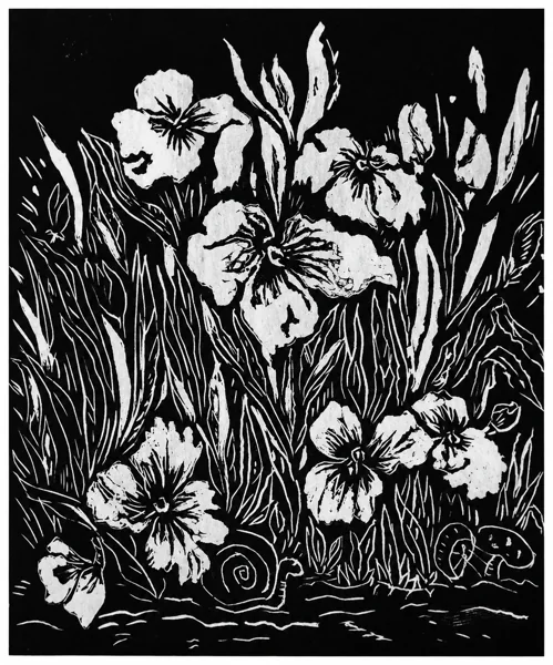 White blossoms and dense foliage against a black field