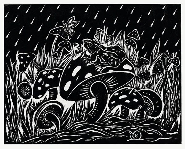 A black-and-white woodland scene of mushrooms, plants and small creatures beneath diagonal rain