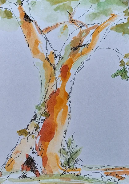 A branching tree trunk in warm orange washes and expressive ink lines